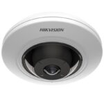 DS-2CD2955G0-IS(U) 5MP Fixed Fisheye Network Camera